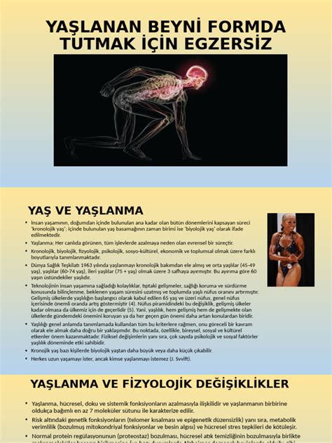 codini.rgarabwor.edu.pl. 