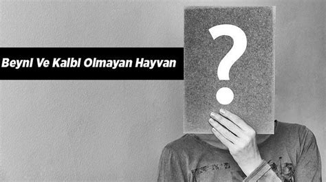 Beyni ve kalbi olmayan hayvan hangisi. 