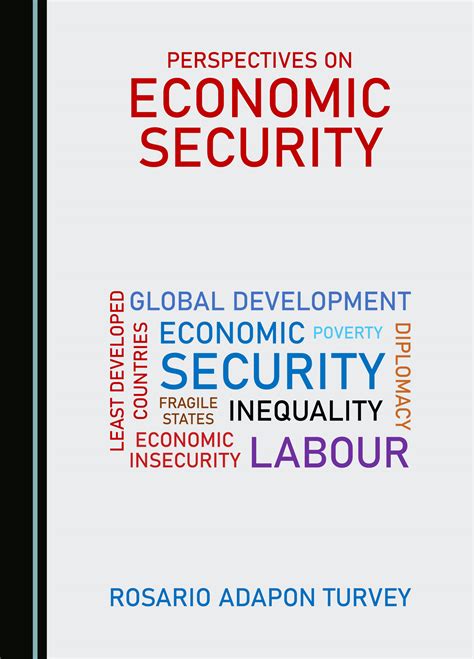 Beyond 50 A View of Economic Security in the States