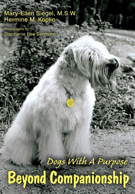 Beyond Companionship Dogs with a Purpose
