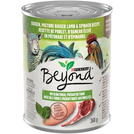 Beyond Grain Free Chicken, Lamb & Spinach Wet Dog Food Purina