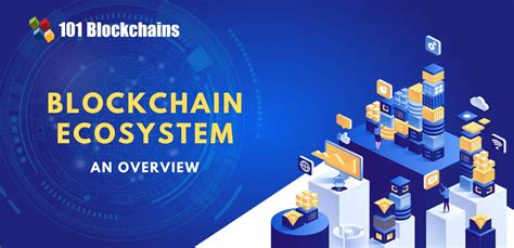 Beyond Training: Creating a Sustainable Blockchain Ecosystem