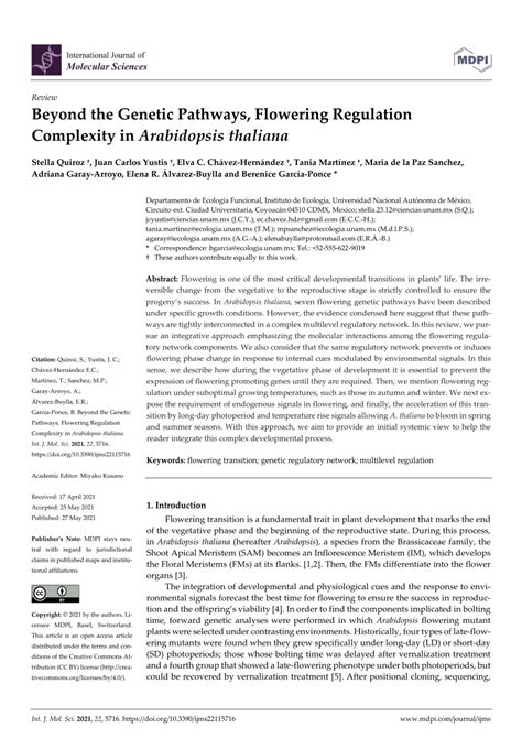 Beyond the Genetic Pathways, Flowering Regulation Complexity in ...