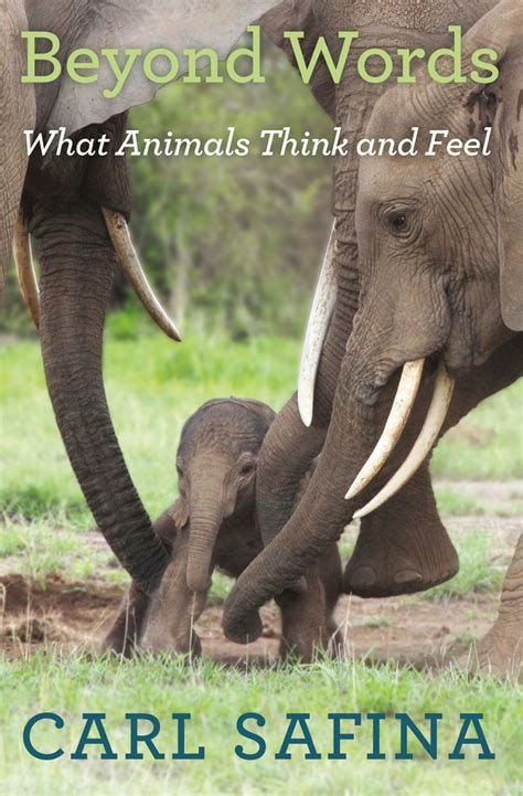 Download Beyond Words What Animals Think And Feel By Carl Safina