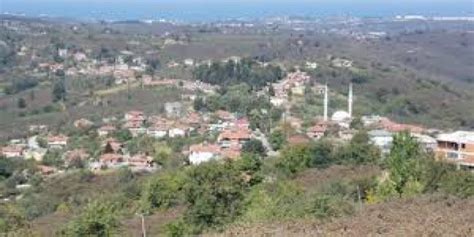 Beyoren Halı ve Koltuk Yıkama