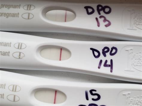 12 de fev. de 2019 ... 11 DPO BFN (Big Fat Negative): Negative pregnancy signs ... Taking an 11 DPO pregnancy test can identify the hormone hCG in your urine or blood to ...
