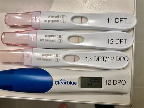 I got a BFN on home tests on day 12 DPO, 13 DPO, 14 DPO, 15DPO - but the blood rest at my RE was positive on 15 DPO. ... I got a BFN on FRER at 11 DPO, and then a faint BFP at 14, 15 DPO, and a .... 
