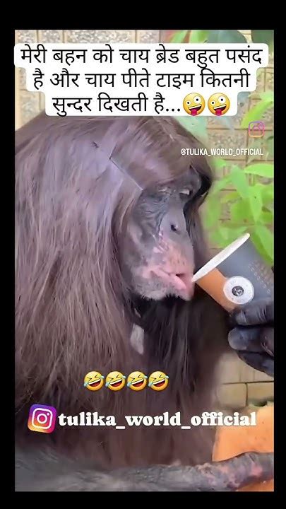 Bhan bhae ke chode khane. .  ...