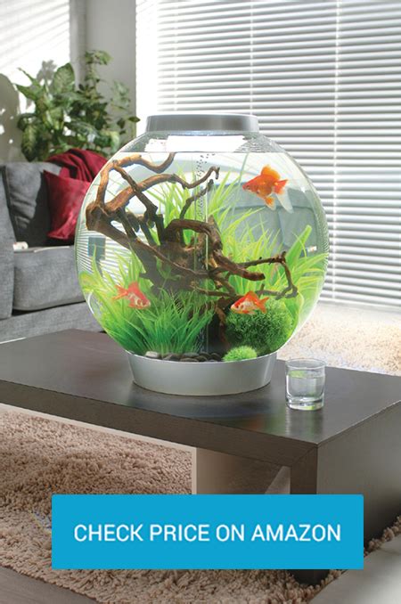 BiOrb Fish Tank Review And Other Required Information