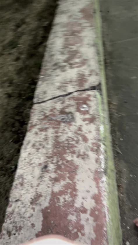 🍆 Biapereiraxx_ Onlyfans Leaked PORN