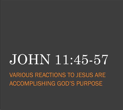 Bible Study Courses » John 11:45-57 Exploring the Passage