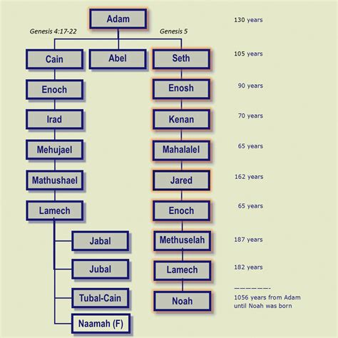 Bible family tree adam to jesus. Genesis tells of people who lived very long lives. Methuselah was the oldest, living 969 years. This chart, and the following table, show each person in the family line from Adam to Abraham. The numbers are taken from Genesis 5 and Genesis 11. While some biblical genealogies are incomplete, listing only prominent people instead of every generation, this list reflects direct … 