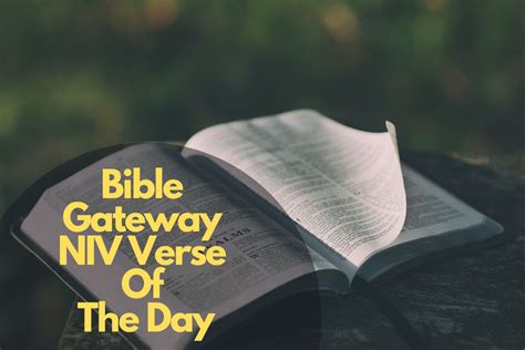 Bible gateway verse of the day niv. Things To Know About Bible gateway verse of the day niv. 