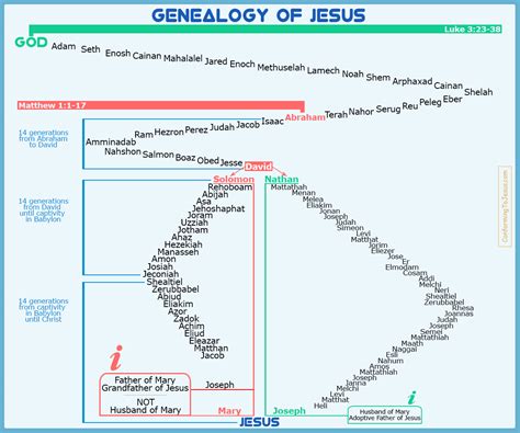 The Genealogy of Jesus Christ Human background Divine background Jesus the Messiah, the son of David, the son of Abraham (Mt 1:1) In the beginning was the Word, and the Word was with God, and the Word was God (Jn 1:1) ADAM Created by God, Adam is the first man in the Bible. Adam disobeys God in the Garden of Eden, bringing sin and death upon .... 