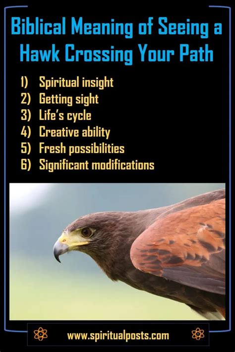 Biblical Meaning Of A Hawk Crossing Your Pa