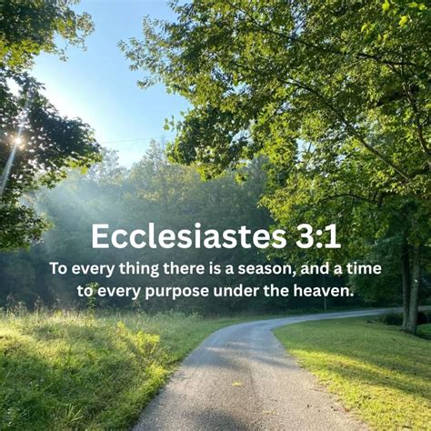 Biblical lessons from lockdown. .  ...