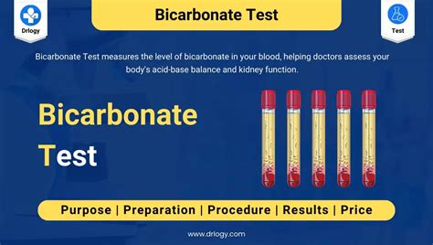 Bicarbonate (HCO3) Test Purpose, Procedure, Results And …