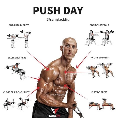 Bicep Pump on Push Day : r/Fitness - reddit.com