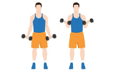 Bicep curl variations.  They improve .  Read more! Bicep curl variatio...