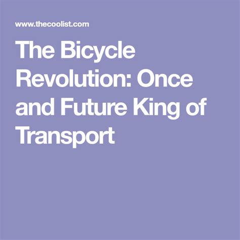 Bicycle Revolution Transforms Urban Transportation
