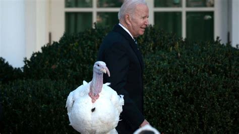Biden celebra su cumpleaños perdonando a dos pavos por el Día de Acción de Gracias