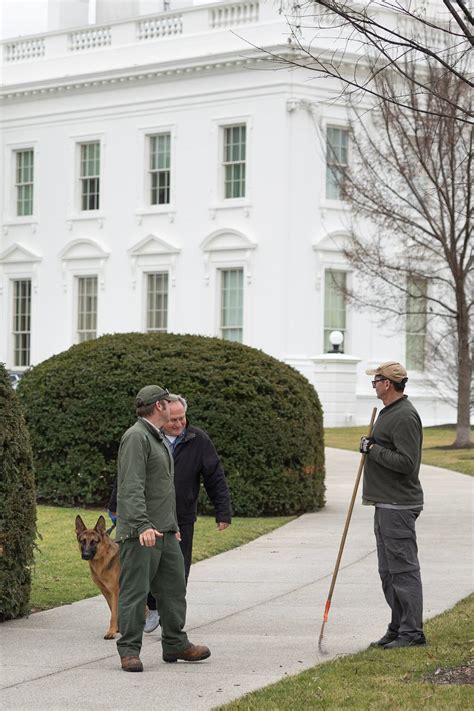 Biden family dog Commander has bitten several Secret Service agents, emails show