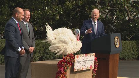 Biden is spending his 81st birthday pardoning two Minnesota turkeys