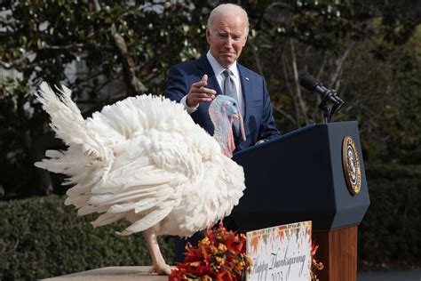 Biden turkey. Nov 20, 2023 · President Joe Biden gave the official presidential pardon to turkeys Liberty and Bell on the White House South Lawn on Monday -- an event stuffed with jabs at Biden’s age and healthy side of ... 