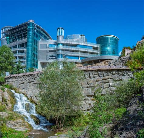 Bidzina Ivani&scaron;vili &ndash; Wikipedia