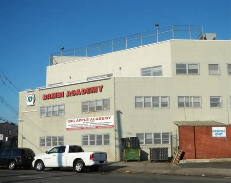 Big Apple Academy Application Mentor Program