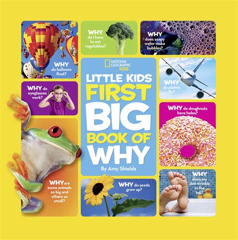 Big Book Of How When Why