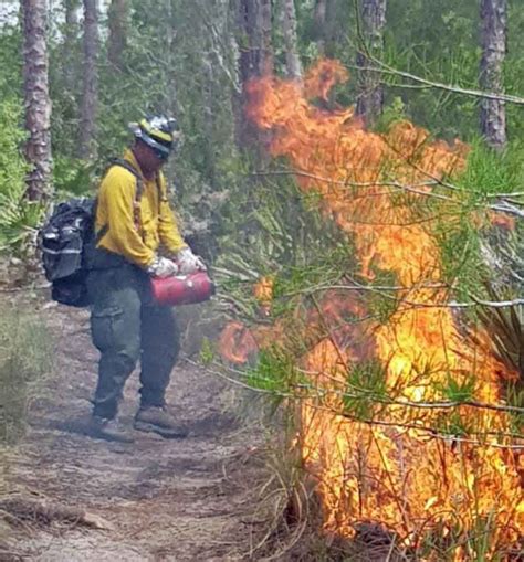 Big Cypress National Preserve wildfire burns north of Alligator Alley; 10% contained