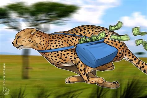 Big Four Auditor Ey Launches Zero-Knowledge System For Private Transactions On Ethereum