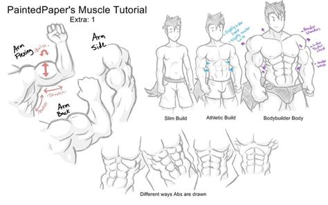 Big Muscles Tutorial Extra by paintedpaper Tutorial, How to draw