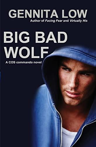 Big bad wolf a cos commando novel. - Research handbook on shareholder power by jennifer g hill.