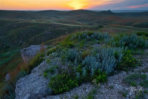 Big Basin Prairie Preserve; Cheyenne Bottoms Preserve; Marais de