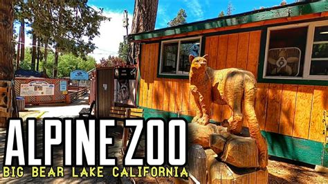 Big bear alpine zoo big bear lake ca. <lu> The Moonridge Animal Park now known by its new name -Big Bear Alpine Zoo -is located in Big Bear Lake, is the only Zoo in San Bernardino County, and one of the only two alpine Zoos in the entire United States. The Park’s mission is to educate and promote an understanding of alpine forest wildlife to produce harmony between people and ... 
