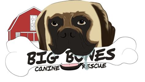 Big bones canine rescue. Things To Know About Big bones canine rescue. 