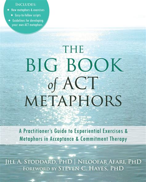 Big book of act metaphors a practitioners guide to experiential exercises and metaphors in acceptance and commitment therapy. - Weigh tronix wi 127 service manual.