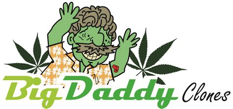 Big daddy clones. Jul 2, 2021 · Optimizing Your Weed clones. If you want to extend the life of your weed clones, try using the above method. You can find the best clones here at bigdaddyclones.com. Make sure to give our professional staff a call at 877-262-6192 if you have any questions regarding purchasing or caring for your weed clones! 