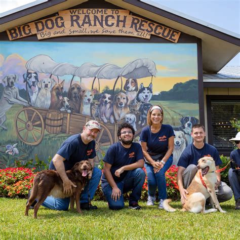 Big dog ranch. Big Dog Ranch Rescue Alabama. 2557 Cross Keys Road. Shorter, AL 36075. alabama@bdrr.org. Our expansion will provide us with quarantine, rehabilitation, medical, and adoption facilities while growing with the resourceful community of Shorter, Alabama. More importantly, this campus will serve as a transitional hub for shelters in the Northeast ... 