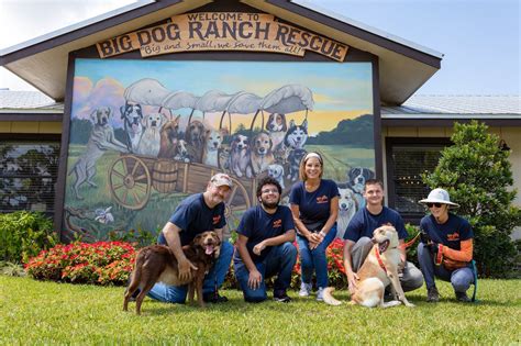 Big dog ranch florida. BIG DOG RANCH RESCUE. 14444 Okeechobee Blvd. Loxahatchee Groves, FL 33470 (561) 791-6465. saveadog@bdrr.org. Email is best due to high call volume 