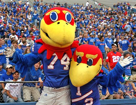 Big jay and baby jay. Big Jay is one of the costume mascots of the Kansas Jayhawks. Together, Big Jay and Baby Jay are Jayhawks and are the mascots used by the University of Kansas. Another mascot named Centennial Jay was temporarily used in 2012. History. The original mascot for the Kansas Jayhawks was a bulldog. 