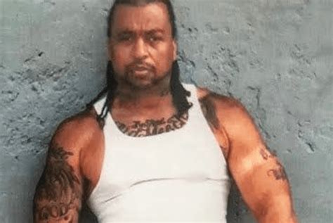 Big Meech Brother Terry Release Date:- Terry began his cocaine career with his brother, Big Mitch, who is also part of the Black Mafia Family Agency. During his school days, he started selling cocaine and sold 50 bags of cocaine on the streets of Detroit in the 1980s.. 