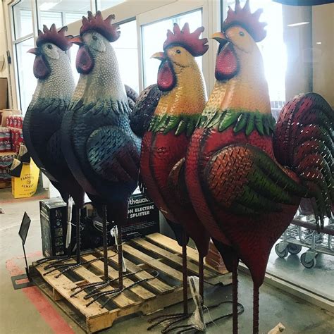 Tractor Supply Co. ·. May 24, 2017 ·. What better way to decorate your yard, than with a 6ft. tall, metal rooster? And now, you can get it for 20% off during our Memorial Day sale. Thru Monday, save BIG on gardening supplies, clothing, mowers, and more.. 