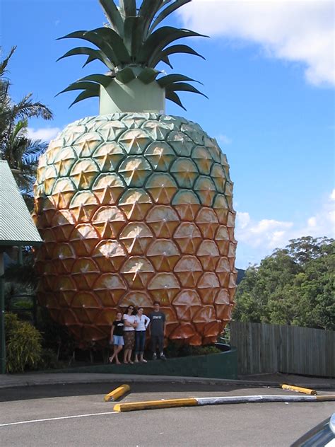 Big pineapple. Things To Know About Big pineapple. 