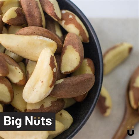 Big porn nuts. .  ...