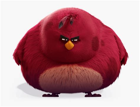 Big red angry bird. Things To Know About Big red angry bird. 