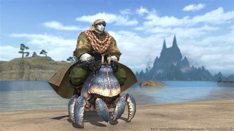 Big shell mount ff14. Things To Know About Big shell mount ff14. 