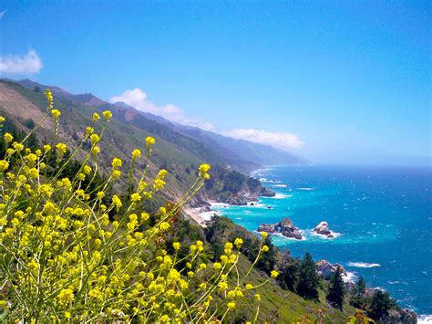 Pfeiffer Beach is located in the Big Sur region of C